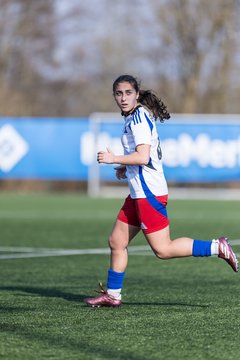Bild 128 - F Hamburger SV 3 - Blau-Weiss 96 : Ergebnis: 5:1
